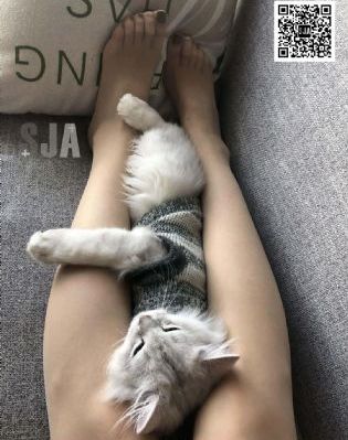 国产大片在线观看91_DVD在线播放观看