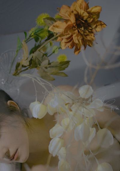 韩国美女伦理片神马视频成人_蓝光高清免费观看